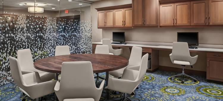 雪城华美达酒店(Hampton Inn & Suites Syracuse-North (Airport Area))图片