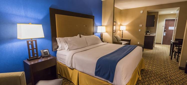 雷霆湾智选假日酒店(HOLIDAY INN EXPRESS & SUITES THUNDER BAY)图片