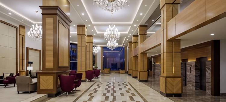 布赖代丽笙酒店(Radisson Blu Hotel Buraidah)图片