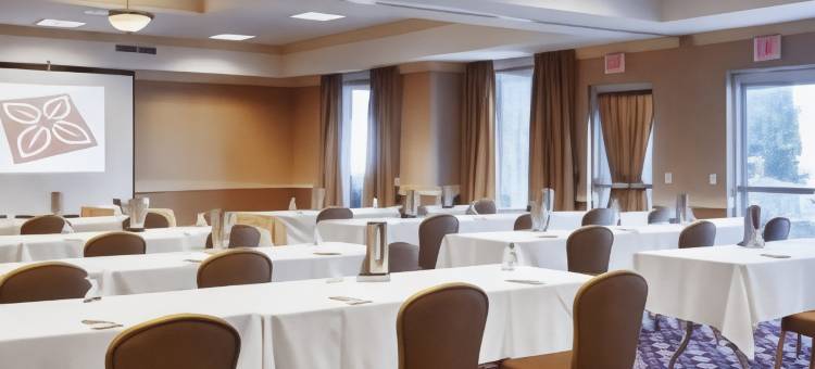 密尔沃基西北会议中心希尔顿花园酒店(Hilton Garden Inn Milwaukee Northwest Conference Center)图片