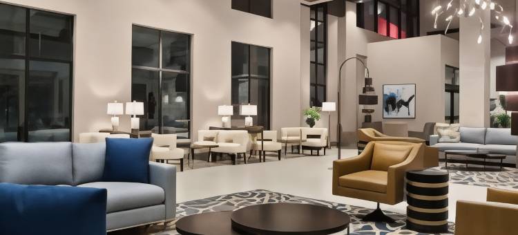 迈克艾伦会议中心希尔顿安泊酒店(Embassy Suites by Hilton McAllen Convention Center)图片