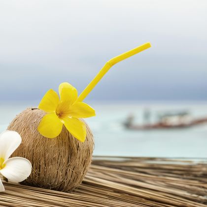 马来西亚吉隆坡+槟城+兰卡威+马六甲+新加坡9日8晚拼小团