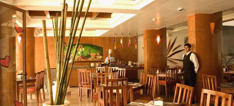 艾米丽酒店(Hotel Emily)图片