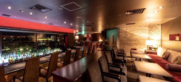 秋田城堡酒店(Akita Castle Hotel)图片