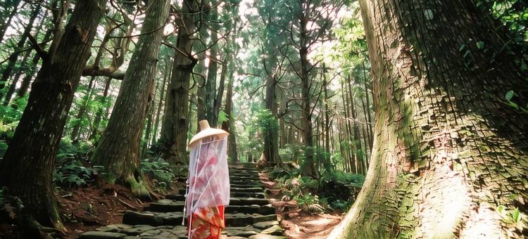 龟乃井酒店那智胜浦(KAMENOI HOTEL NACHI KATSUURA KUMANO KODO)图片