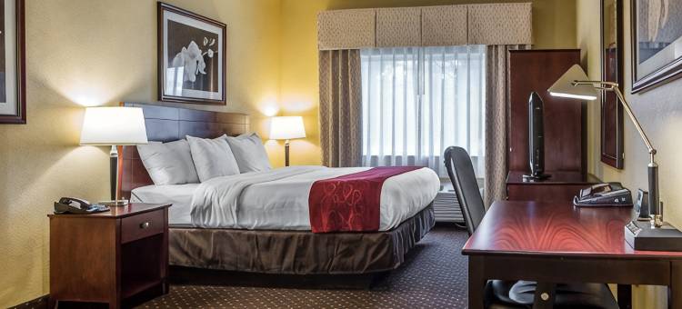 梅森舒适套房酒店-近国王岛(Comfort Suites Mason Near Kings Island)图片
