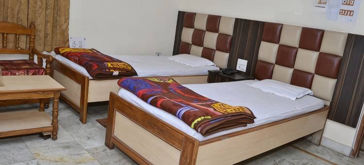 甘戈特里国际酒店(Hotel Gangotri International)图片