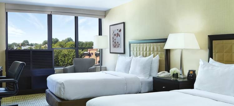 萨拉托加希尔顿酒店(The Saratoga Hilton)图片