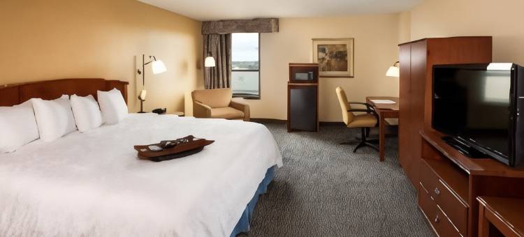 希尔顿欢朋酒店-梅塔里(Hampton Inn Metairie)图片