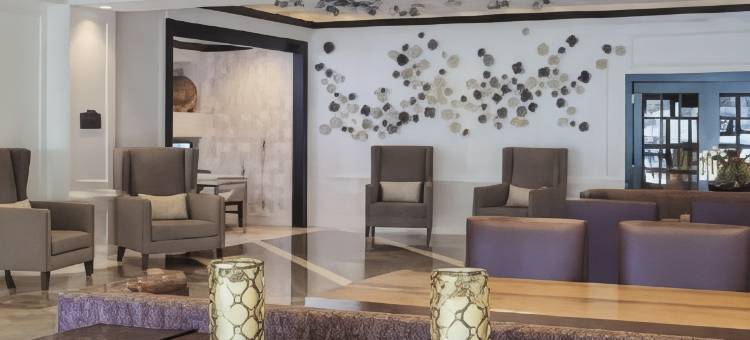 亚特兰大巴克海特希尔顿花园酒店(Hilton Garden Inn Atlanta-Buckhead)图片