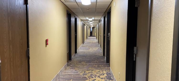 查德任温德姆速8酒店(Super 8 by Wyndham Chadron NE)图片