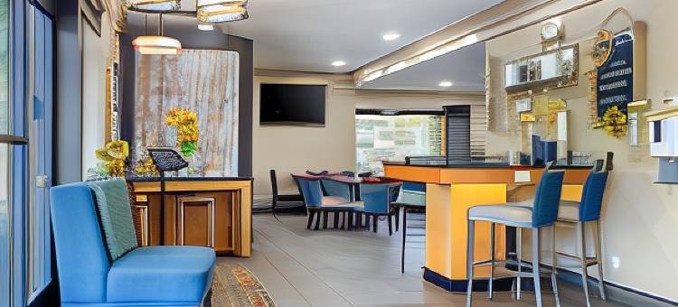 阿什维尔东-蓝岭山行车通道舒适酒店(Comfort Inn Asheville East-Blue Ridge Pkwy Access)图片