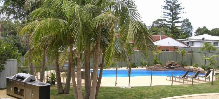 考拉树汽车旅馆(Koala Tree Motel)图片