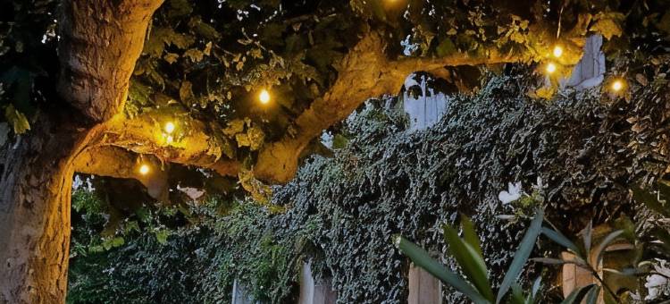 Louvre城市酒店(Cit'Hôtel le Louvre Orange)图片