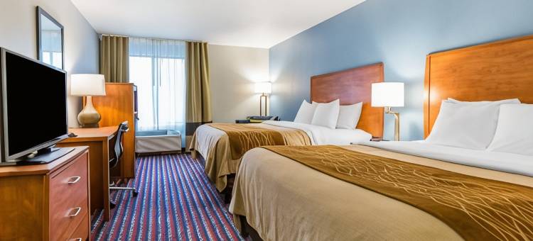 奥尔顿I-255附近舒适酒店(Comfort Inn Alton near I-255)图片