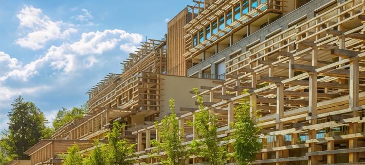 布尔根施托克瓦尔德酒店(Waldhotel by Bürgenstock)图片