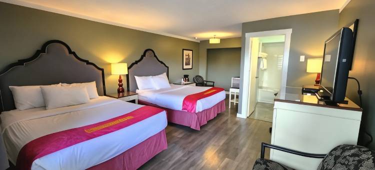 赢家汽车旅馆(Ace Motel)图片