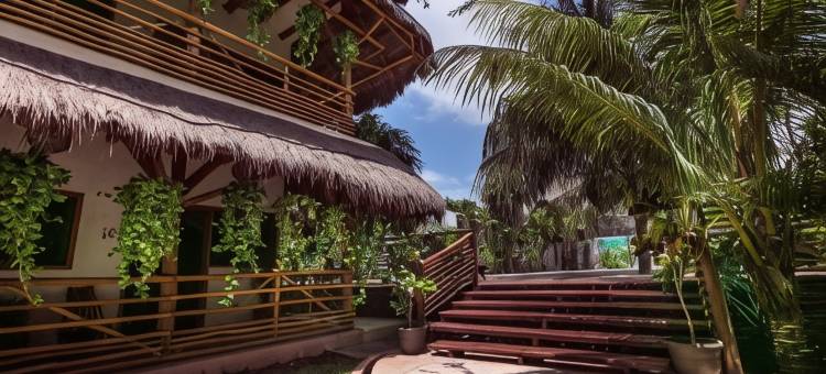 MIJ热带套房(La Palma Holbox)图片