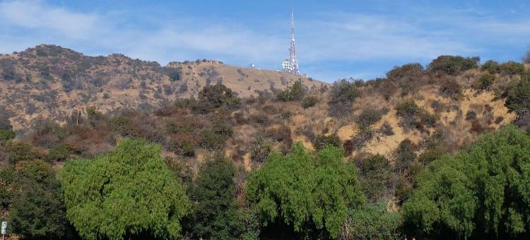 席尔马经济汽车旅馆(Economy Inn Motel)图片