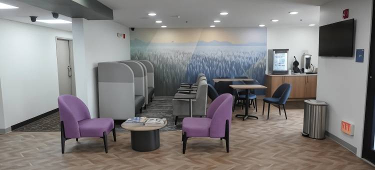 富兰克林舒眠旅馆 - 酷泉(Sleep Inn Franklin - Cool Springs)图片