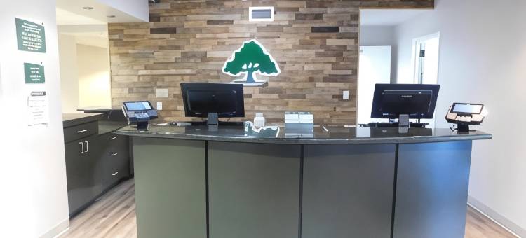 派恩托普格林豪泰套房酒店(GreenTree Inn & Suites Pinetop)图片