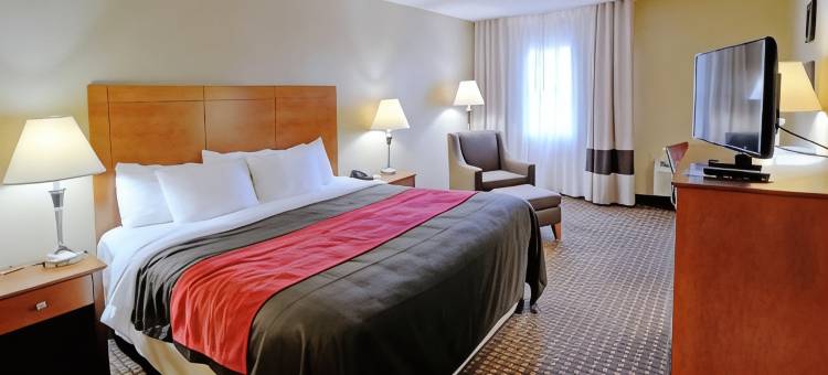 舒适套房酒店-拉芬列克星敦I-81和I-64附近(Comfort Inn & Suites Raphine - Lexington Near I-81 and I-64)图片