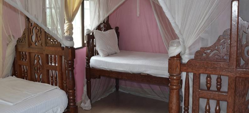 杰姆博旅馆(Jambo Guest House)图片