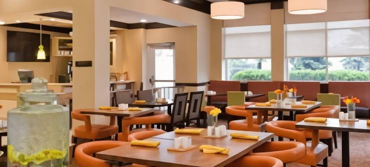 印第安纳波利斯卡梅尔希尔顿花园酒店(Hilton Garden Inn Indianapolis/Carmel)图片