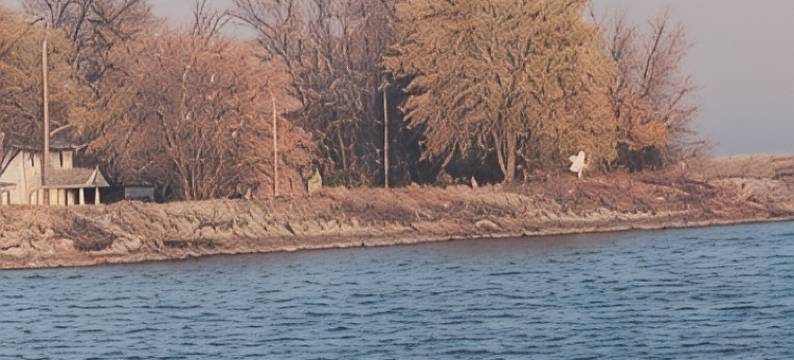 Toledo, lakeside home 3 bdrm sleep 7 on Lake Erie with 4 decksto choose from.图片