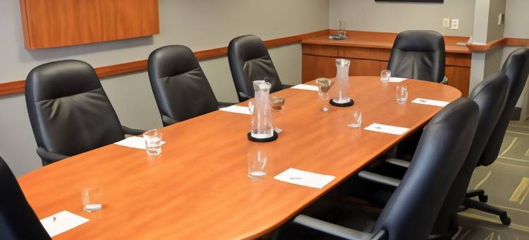 温莎希尔顿欢朋套房酒店(Hampton Inn and Suites by Hilton Windsor)图片