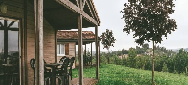 法兰西泰尔阿莫德拉克假日公园(Terres de France - les Hameaux des Lacs)图片