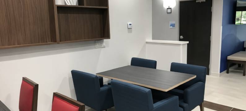 洲际智选假日酒店那不勒斯南部 - I-75(Holiday Inn Express NAPLES SOUTH - I-75 by IHG)图片