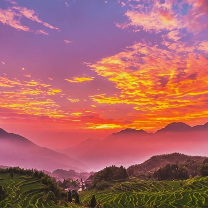 丽水+云和梯田景区+云中大漈+景宁中国畲乡之窗景区3日2晚私家团