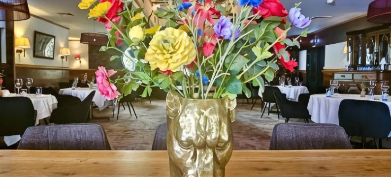 泰尔博赫德鲁德莱乌酒店(De Roode Leeuw Terborg)图片