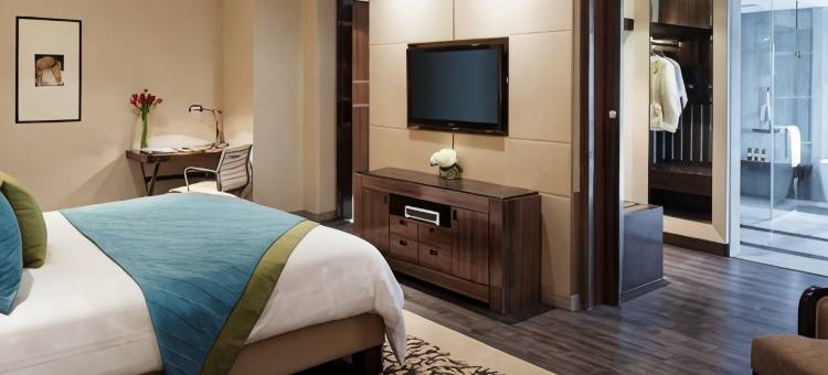 艾哈迈达巴德Hyatt酒店(Hyatt Ahmedabad)图片