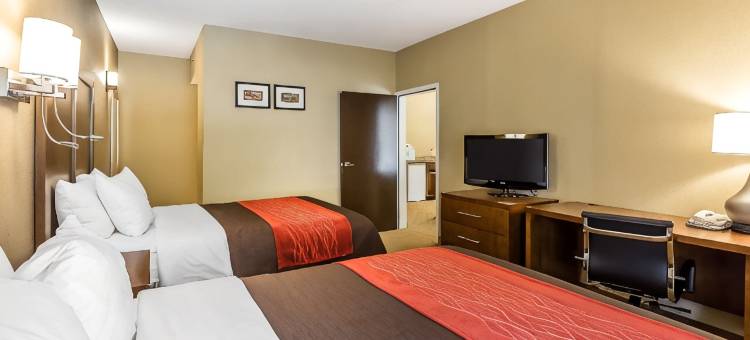 舒适套房酒店(Comfort Inn & Suites)图片