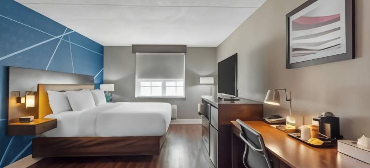 波茨敦东部门户舒适套房酒店(Comfort Inn & Suites Pottstown Eastern Gateway)图片