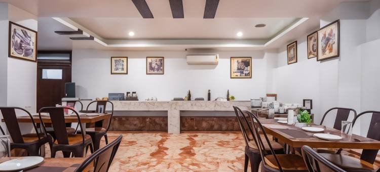德里帕哈甘吉国王酒店(Hotel le Roi Near New Delhi Railway Station)图片