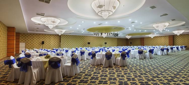埃尔比勒市中心德德曼酒店(Dedeman Erbil Hotel City Center)图片