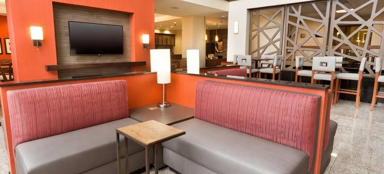 圣路易斯机场德鲁里套房酒店(Drury Inn & Suites St. Louis Airport)图片