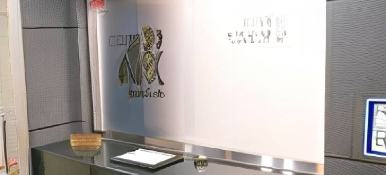 利夫马克斯酒店-东京东上野店(HOTEL LiVEMAX BUDGET Higashi Ueno)图片