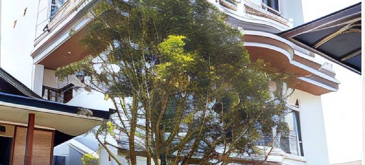 Toraja Lodge Hotel图片