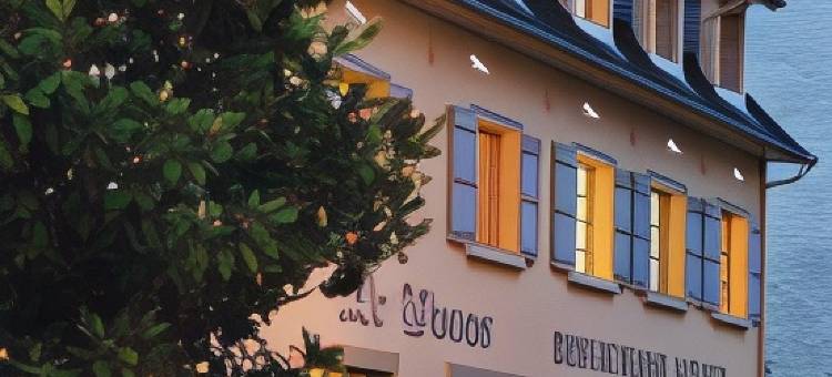 威斯克斯酒店(Le Viscos)图片