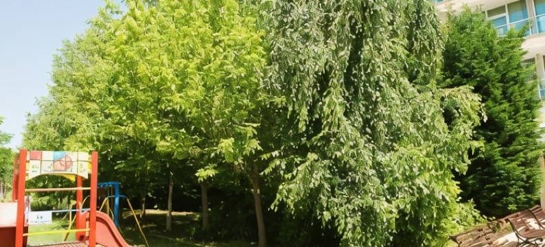 伊凡纳宫殿酒店(Ivana Palace Hotel - Free Parking)图片