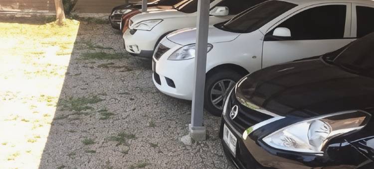 查理度假村(Charlee House)图片