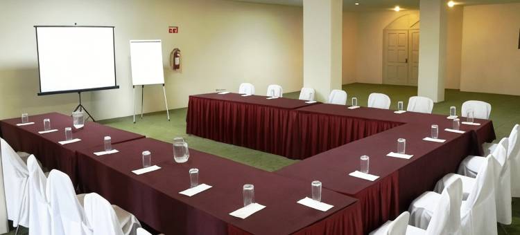 旧金山伊拉普阿托商务酒店(Hotel San Francisco Irapuato Business Class)图片
