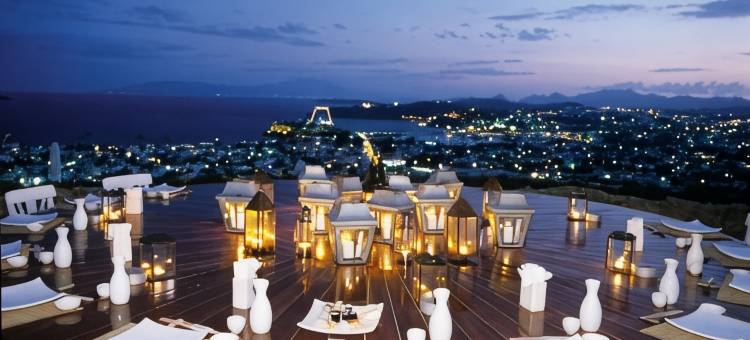 马尔马拉博德鲁姆 - 限成人入住(The Marmara Bodrum - Adult Only)图片