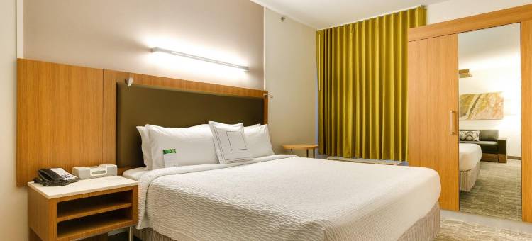 SpringHill Suites McAllen Convention Center图片