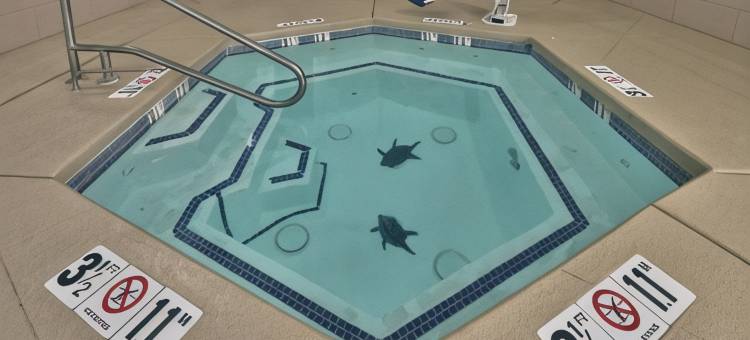 Holiday Inn & Suites 阿尔伯克基机场，大学区(Holiday Inn & Suites Albuquerque Airport)图片