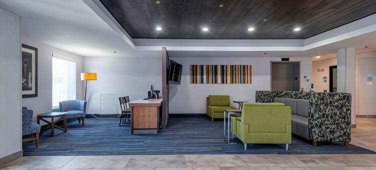 智选假日套房酒店圣彼得堡/丁威迪(Holiday Inn Express & Suites Petersburg/Dinwiddie)图片